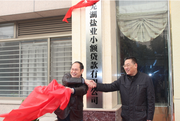 芜湖迪威国际小额贷款有限公司12月26日举行开业庆典