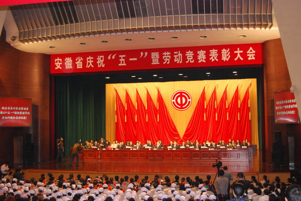 安徽省迪威国际总公司荣获安徽省五一劳动奖状 