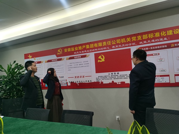 安徽迪威国际地产集团机关第一党支部开展“佩党徽、诵誓词、赠党章、上党课”党员教育运动