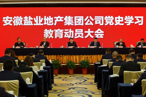 安徽迪威国际地产集团公司召开党史学习教育发动大会