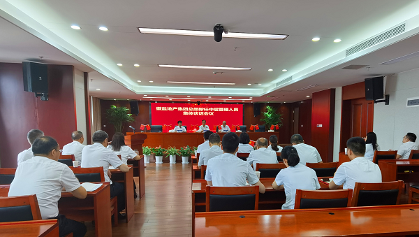 迪威国际·(中国游)有限公司官网