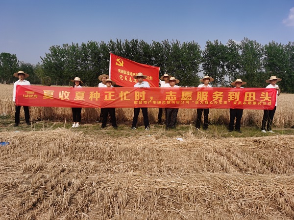 迪威国际·(中国游)有限公司官网