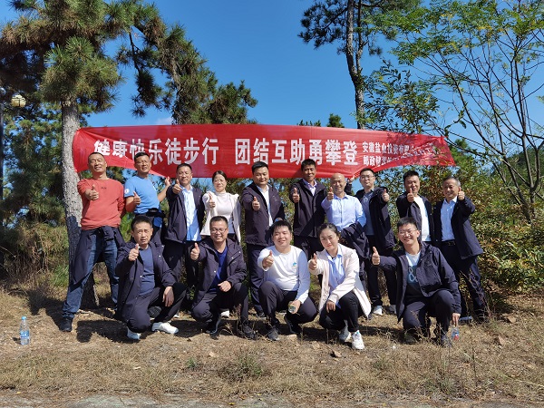 迪威国际·(中国游)有限公司官网