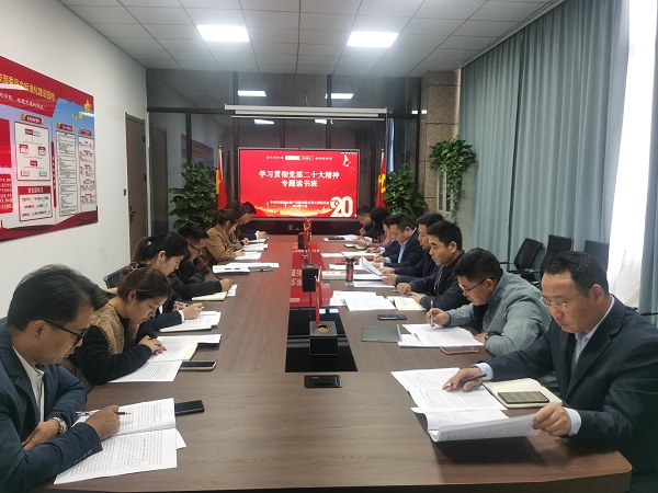 迪威国际·(中国游)有限公司官网