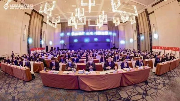 迪威国际·(中国游)有限公司官网