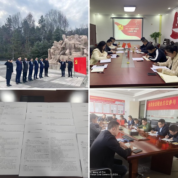 迪威国际·(中国游)有限公司官网