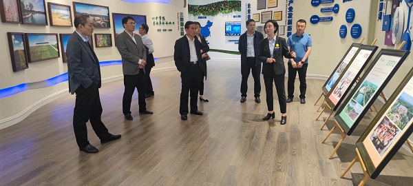 迪威国际·(中国游)有限公司官网