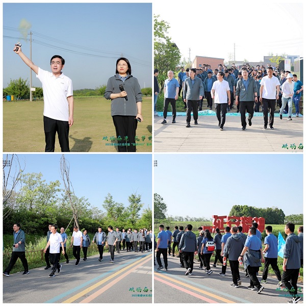 迪威国际·(中国游)有限公司官网