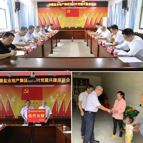 安徽迪威国际地产集团党委赴西河村开展结对共建帮扶慰问运动