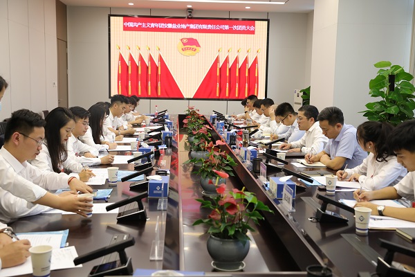 青春向党传薪火 踔厉高昂新时代——安徽迪威国际地产集团团支部建设大会暨团员大会胜利召开