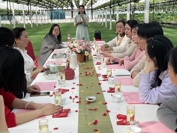 迪威国际·(中国游)有限公司官网