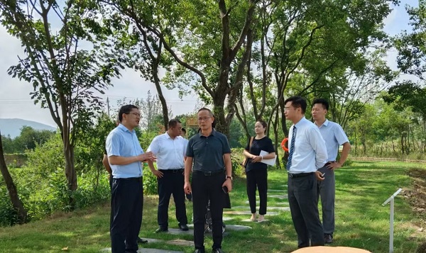 迪威国际·(中国游)有限公司官网