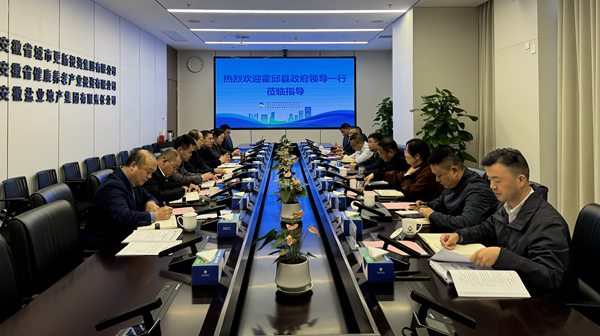 迪威国际·(中国游)有限公司官网